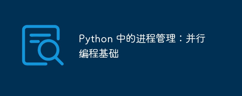 Python 中的进程管理:并行编程基础