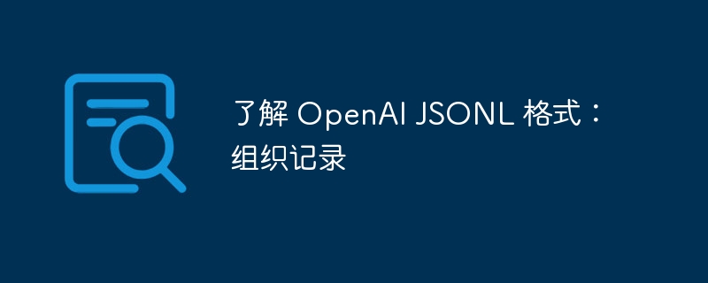 了解 OpenAI JSONL 格式:组织记录