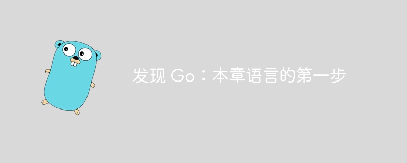 发现 Go:本章语言的第一步
