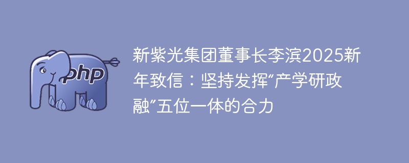 新紫光集团董事长李滨2025新年致信:坚持发挥“产学研政融”五位一体的合力