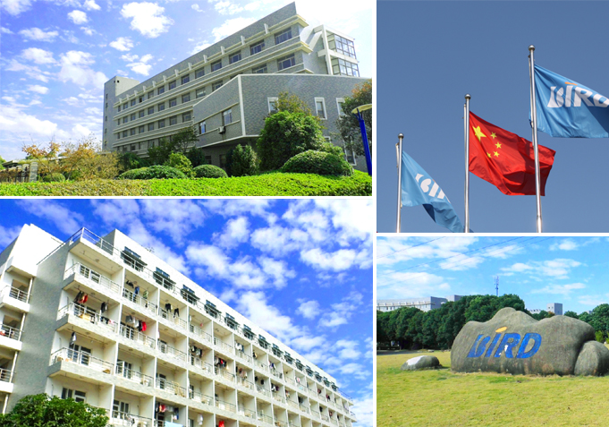 出口销售订单减少,波导股份2024年预计实现营收3.4亿元-3.7亿元