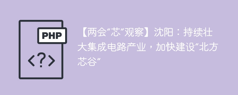 【两会“芯”观察】沈阳:持续壮大集成电路产业,加快建设“北方芯谷”