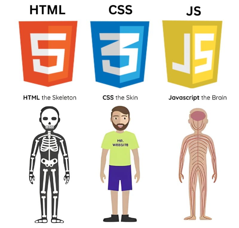 JavaScript - 简介