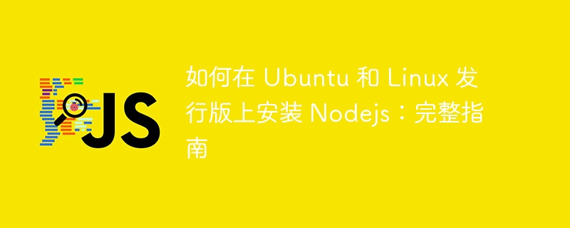 如何在 Ubuntu 和 Linux 发行版上安装 Nodejs:完整指南