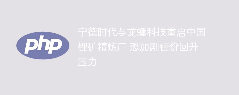 宁德时代与龙蟠科技重启中国锂矿精炼厂 恐加剧锂价回升压力
