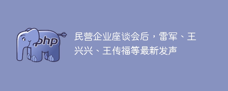 民营企业座谈会后,雷军、王兴兴、王传福等最新发声