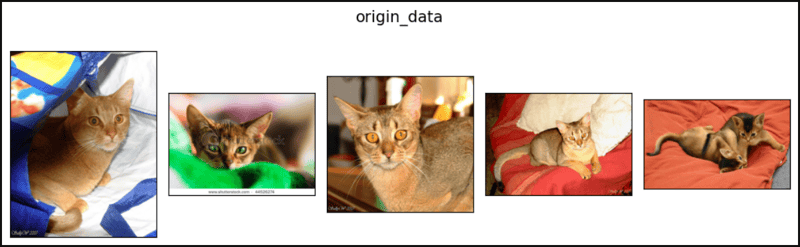 randomequalize in pytorch