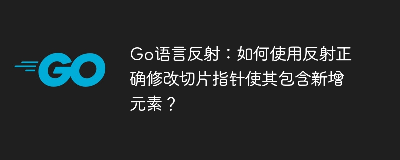 Go语言反射:如何使用反射正确修改切片指针使其包含新增元素?