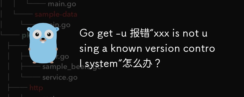 Go get -u 报错“xxx is not using a known version control system”怎么办?