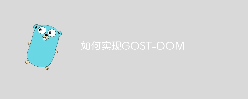 如何实现GOST-DOM