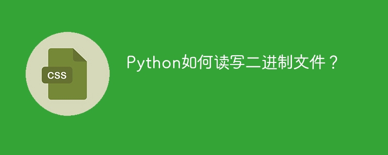 Python如何读写二进制文件?