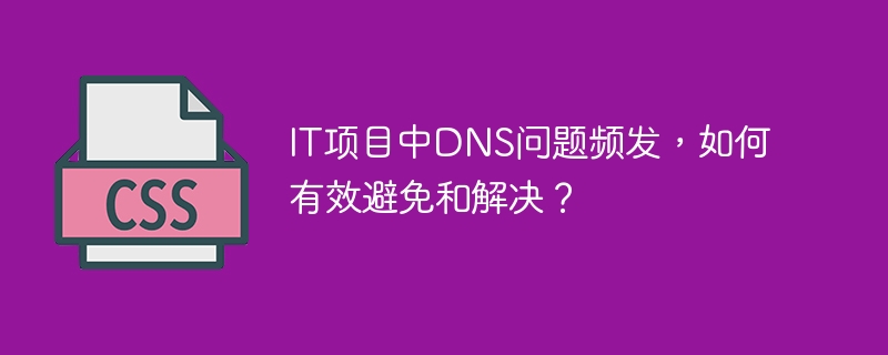 IT项目DNS难题：高效排查与规避