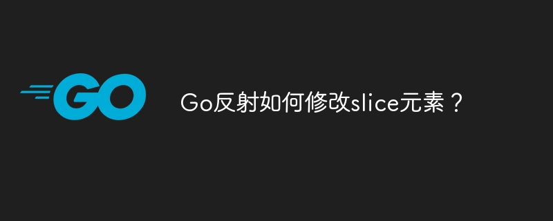 Go反射如何修改slice元素？