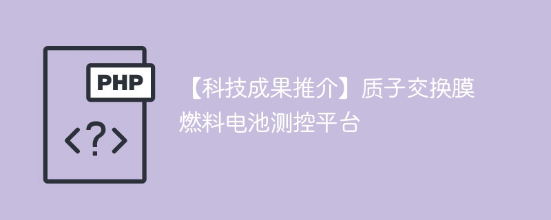 质子膜燃料电池:测控平台技术