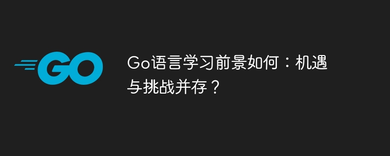 Go语言学习前景如何：机遇与挑战并存？