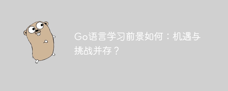 Go语言学习：前景、机遇与挑战