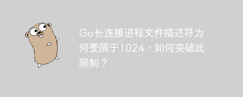 Go长连接：突破1024文件描述符限制