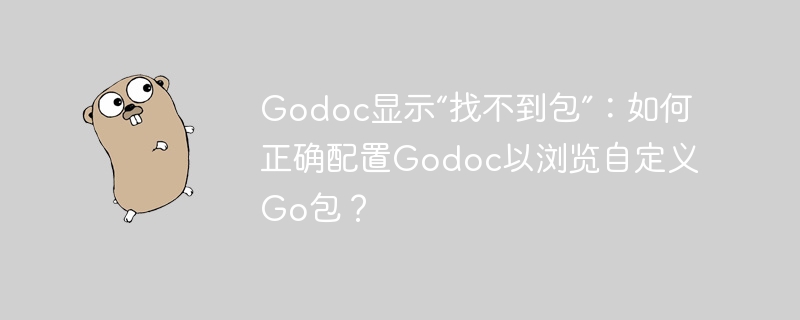 Godoc显示“找不到包”：如何正确配置Godoc以浏览自定义Go包？