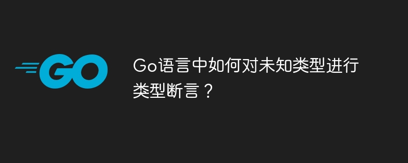 Go语言类型断言:未知类型处理