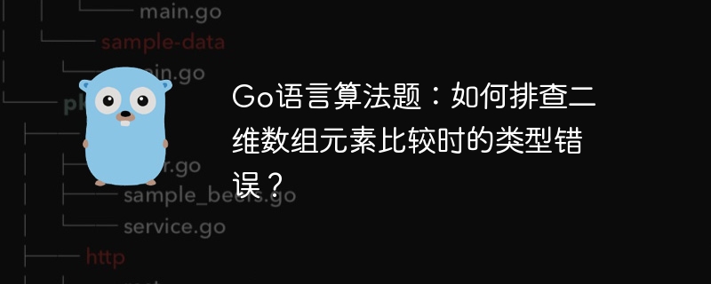 Go语言算法题：如何排查二维数组元素比较时的类型错误？