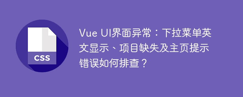 Vue UI界面异常：下拉菜单英文显示、项目缺失及主页提示错误如何排查？