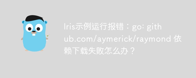 Go依赖下载失败：Raymond库解决方法