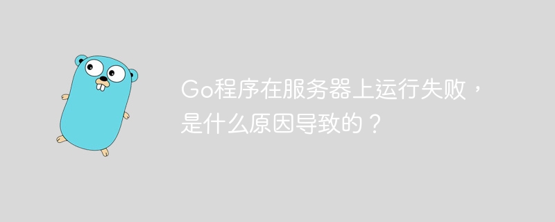 Go服务器运行失败？排查原因及解决方案大全