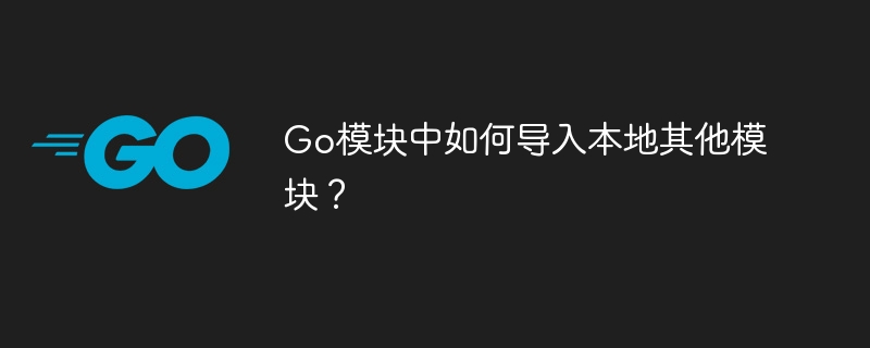 Go语言本地模块导入详解：快速上手指南