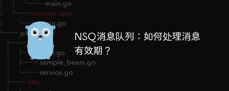 NSQ消息队列：消息过期时间设置及处理技巧