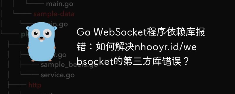 Go WebSocket程序依赖库报错：如何解决nhooyr.id/websocket的第三方库错误？