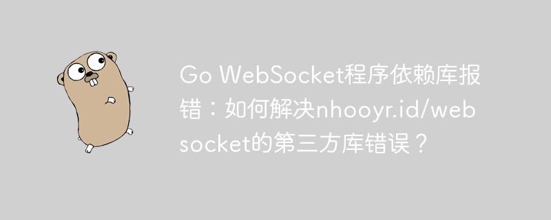 GoWebSocket库报错nhooyr.id/websocket?快速解决方法!