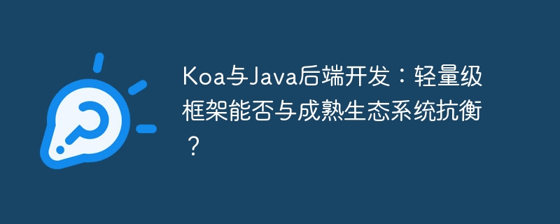 KoavsJava后端:轻量级框架挑战老牌巨头?