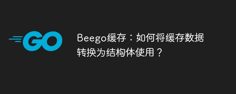 Beego缓存妙用:结构体缓存数据详解及实战