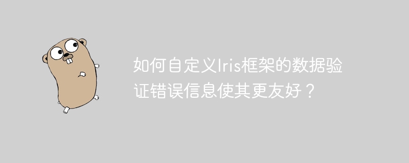 如何自定义Iris框架的数据验证错误信息使其更友好？