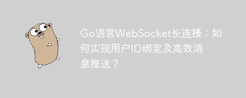 Go语言WebSocket:高效实现用户ID绑定与消息推送