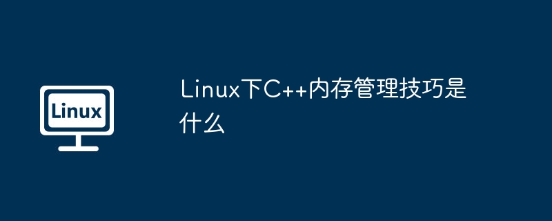 LinuxC++内存管理:高手进阶技巧详解
