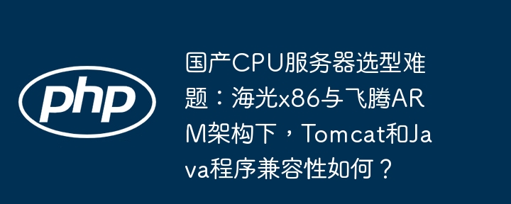 国产CPU服务器:海光x86、飞腾ARMTomcat/Java兼容性深度测试