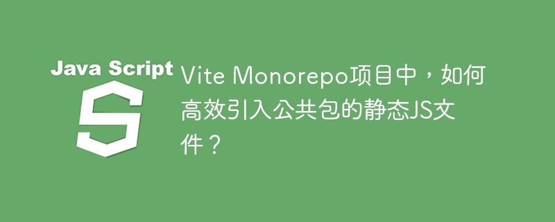 ViteMonorepo公共包JS文件高效引入方案