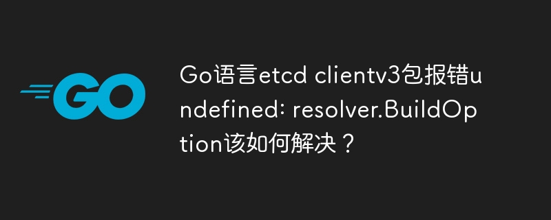 Go语言etcdclientv3报错:resolver.BuildOption终极解决方法