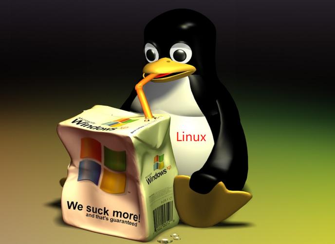 Linux服务器安全加固策略,防范网络威胁