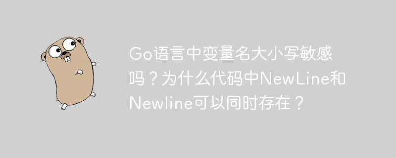 Go语言变量大小写:NewLine和newline都能用?深度揭秘
