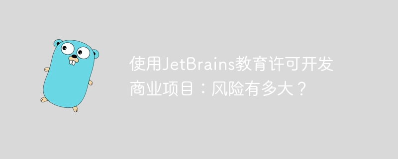 JetBrains教育许可商用风险详解：避坑指南