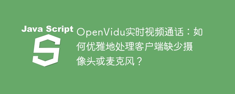OpenVidu：没摄像头麦克风也能用？超优雅解决方案！