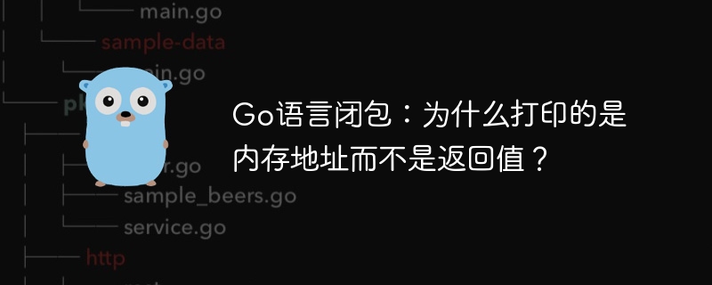 Go语言闭包：内存地址打印及返回值详解
