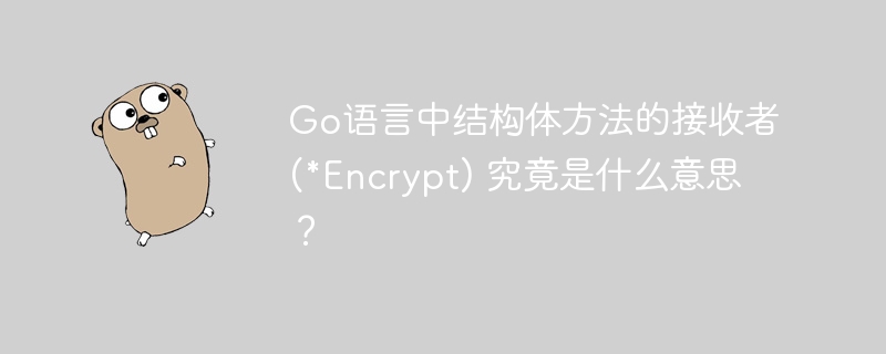 Go语言中结构体方法的接收者(\*Encrypt)到底啥意思？
