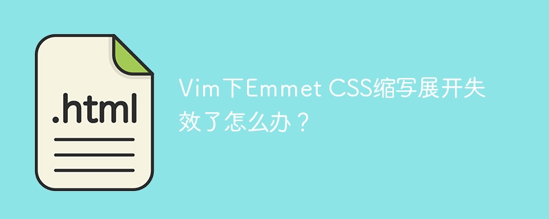 Vim下Emmet CSS缩写展开失效了怎么办？
