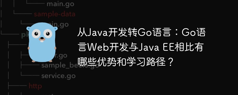 从Java转Go：Go语言Web开发优势与学习路径解析