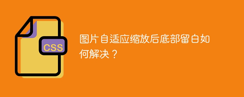 图片自适应缩放底部留白问题终极解决方案