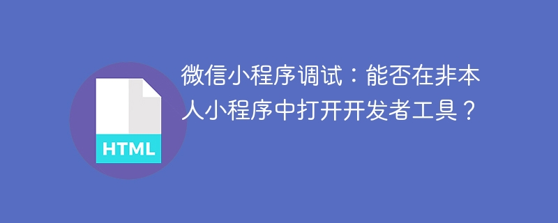 微信小程序调试:非本人小程序如何用开发者工具?