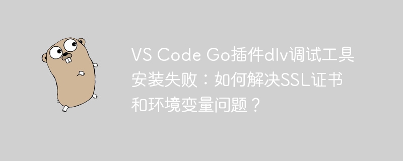 VSCodeGo插件dlv调试工具安装失败?SSL证书和环境变量解决方案!